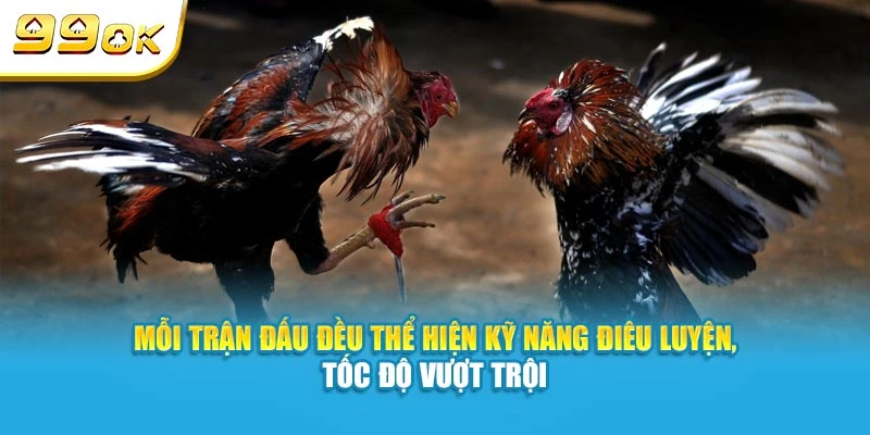 Mỗi trận đấu tại 99OK đều thể hiện kỹ năng điêu luyện, tốc độ vượt trội