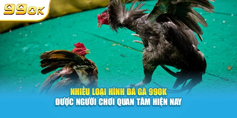 Các trường đấu đối tác chính thức của đá gà 99OK