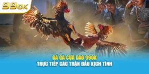 Đá gà cựa dao 99OK trực tiếp các trận đấu kịch tính