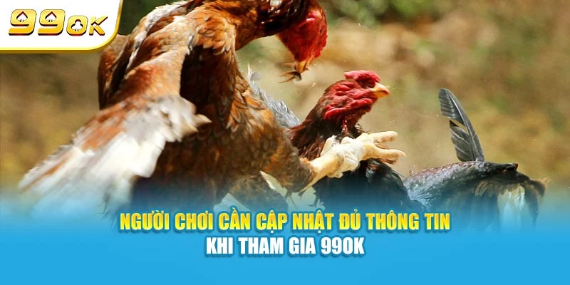 Chính sách hoàn tiền minh bạch tại đá gà 99OK